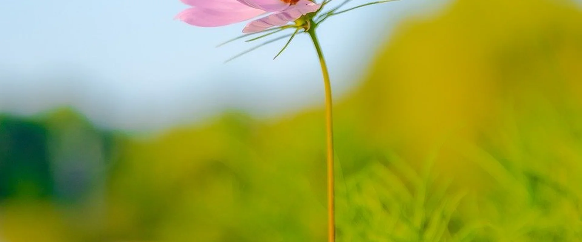 开云电竞PG电子